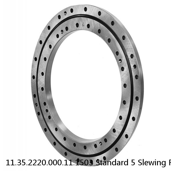 11.35.2220.000.11.1503 Standard 5 Slewing Ring Bearings