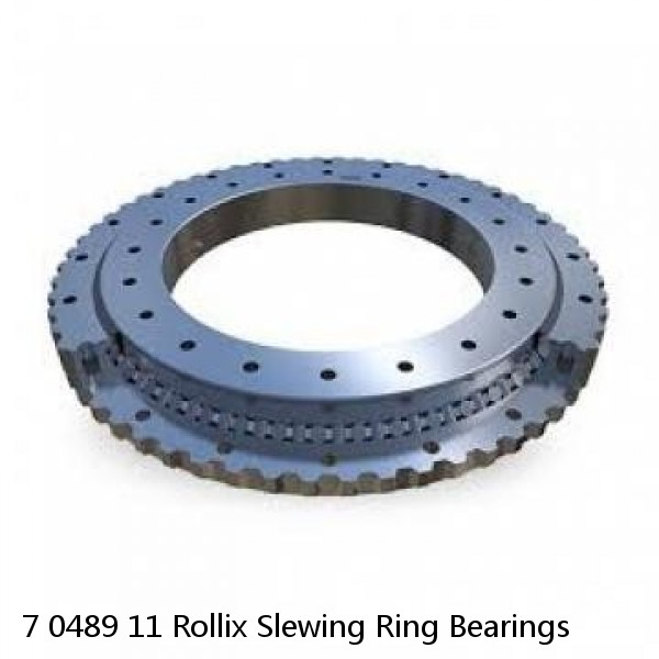 7 0489 11 Rollix Slewing Ring Bearings