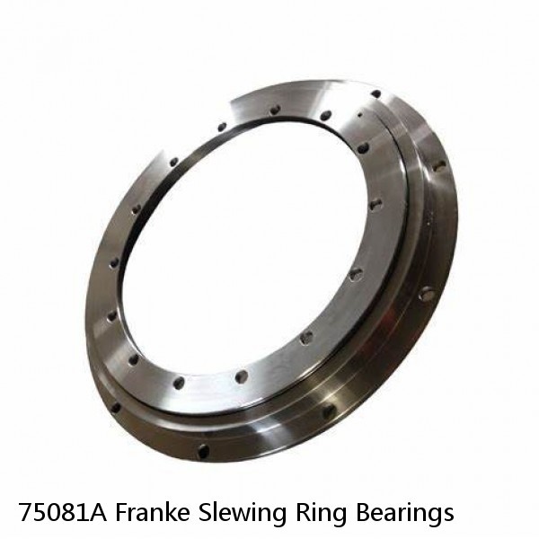 75081A Franke Slewing Ring Bearings