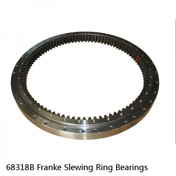 68318B Franke Slewing Ring Bearings