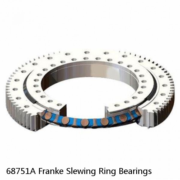 68751A Franke Slewing Ring Bearings