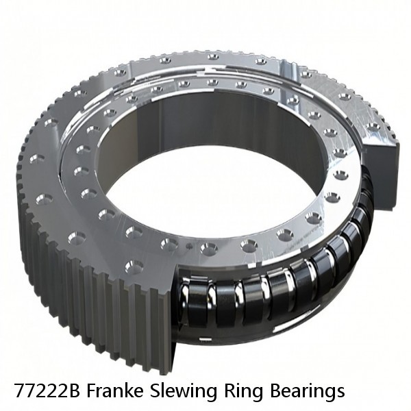 77222B Franke Slewing Ring Bearings