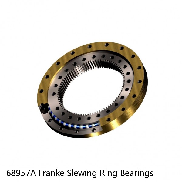 68957A Franke Slewing Ring Bearings