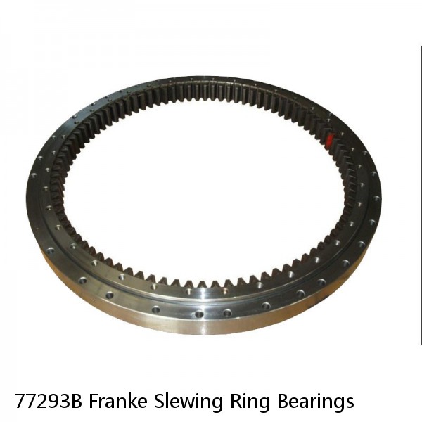 77293B Franke Slewing Ring Bearings