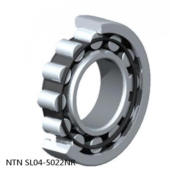 SL04-5022NR NTN Cylindrical Roller Bearing