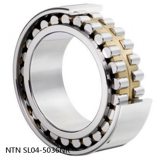 SL04-5036NR NTN Cylindrical Roller Bearing